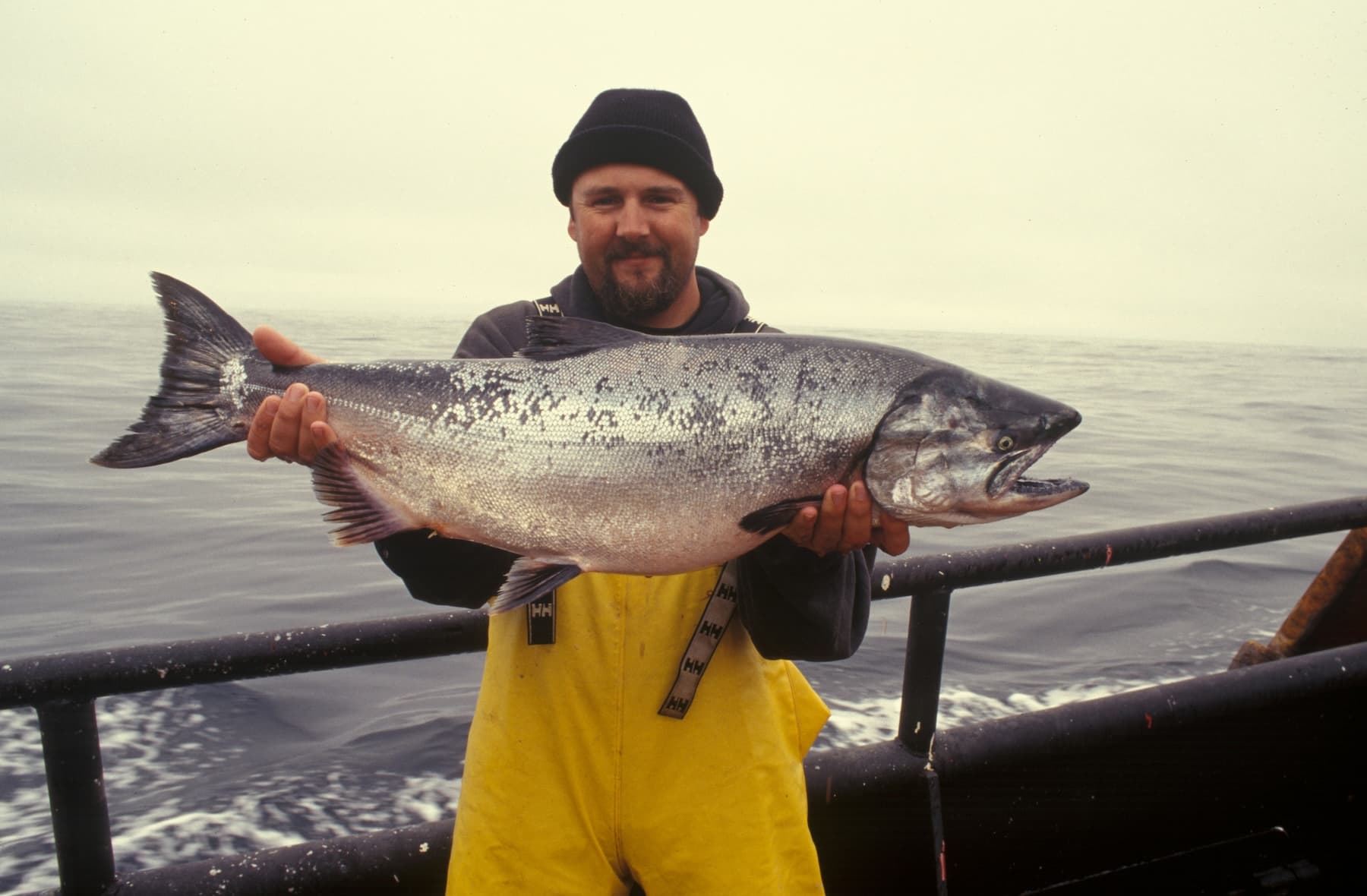A fisherman on a boat